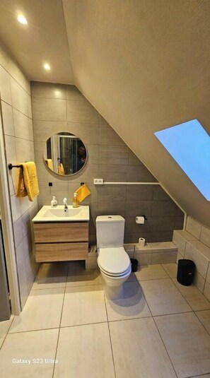 Shower, towels, toilet paper