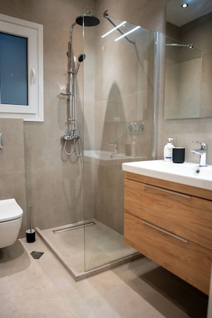 Shower, hair dryer, bidet, towels