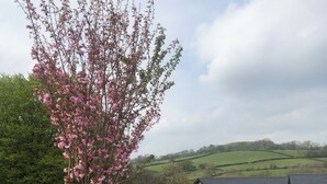 Una propiedad rural con camino de grava, construcciones de madera y un árbol en flor.