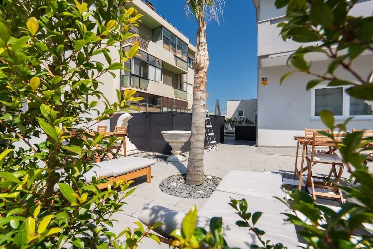 Eine Außenpatio-Terrasse mit einer Palme, Liegestühlen und einem Steinpflanzgefäß.