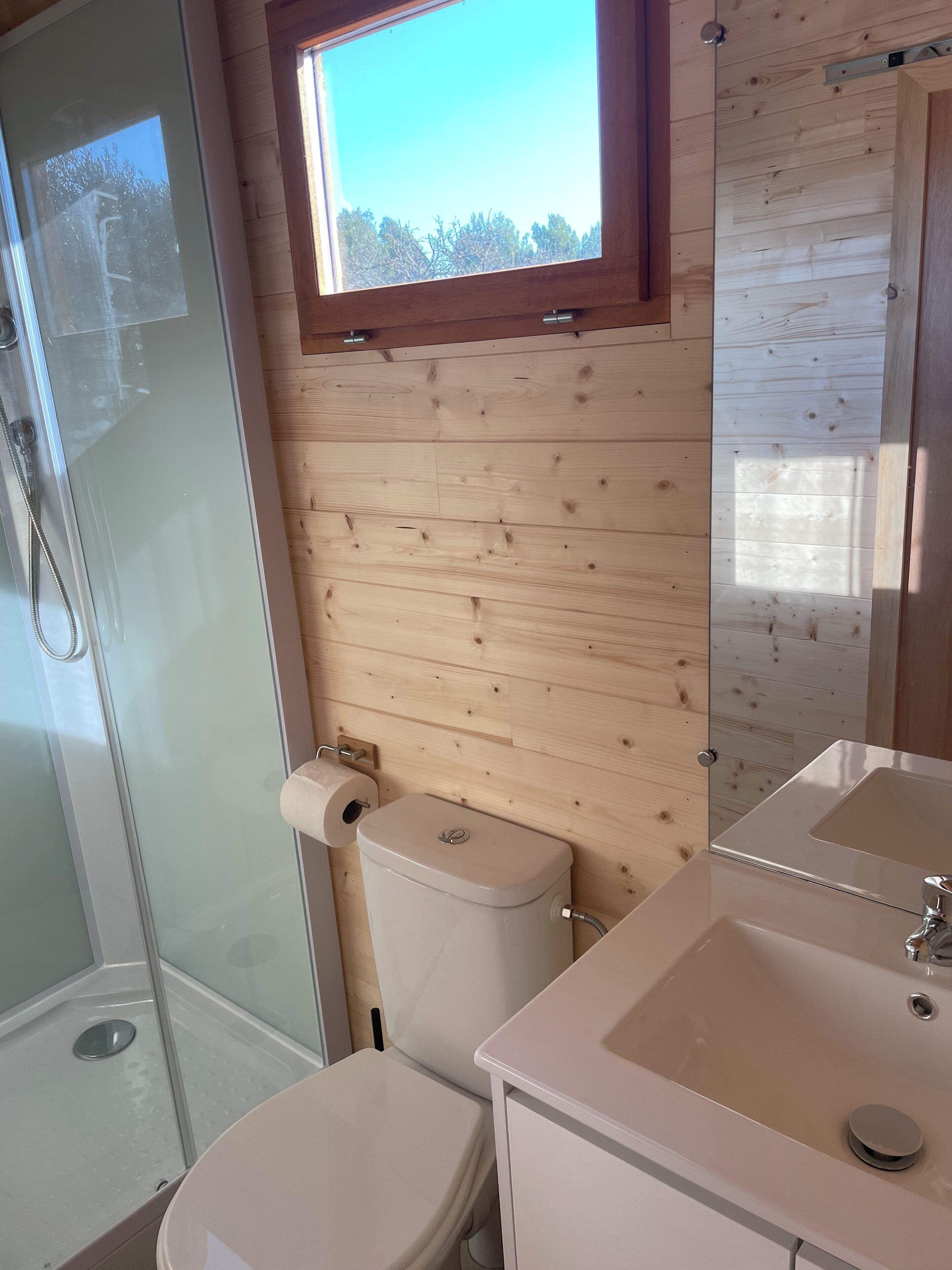 Shower, towels, soap, toilet paper