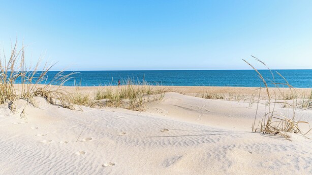 En sandstrand med fotspår och gles vegetation.