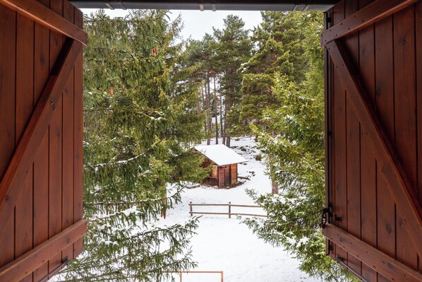 Eine Holzhütte mit verschneitem Boden und umliegenden Bäumen.