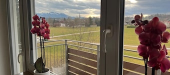 Bright, cozy apartment with mountain views near the lake and city, pet-friendly