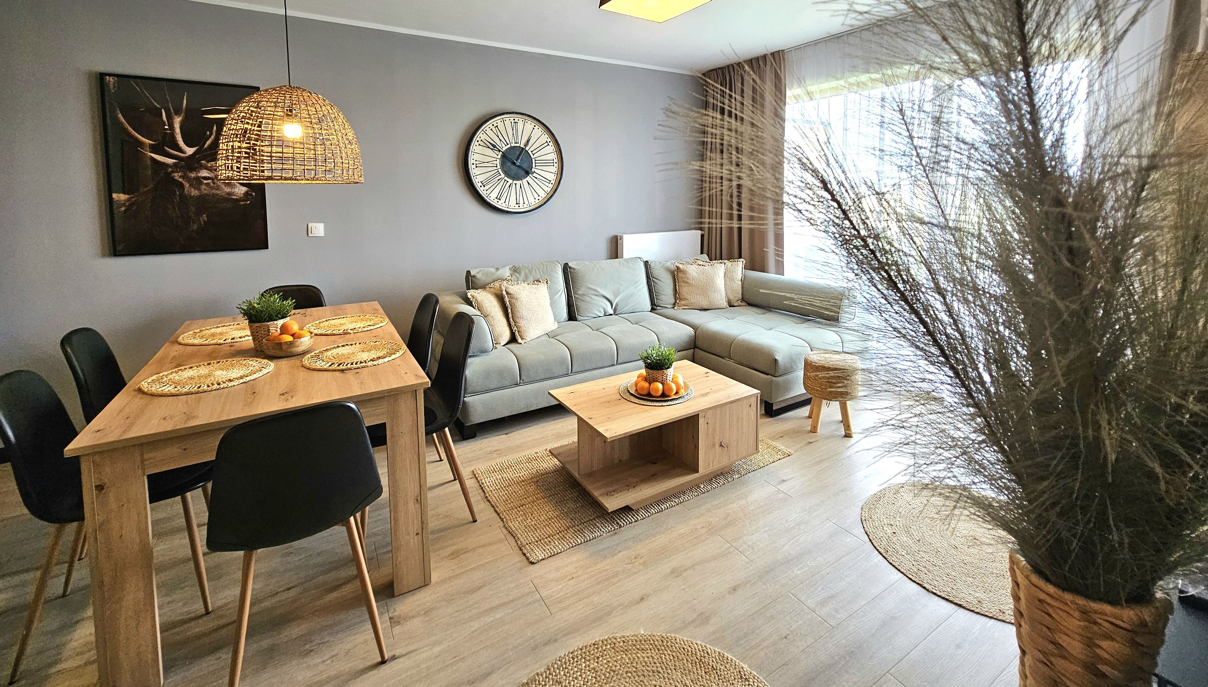 A modern living room with a grey sofa, a wooden dining table with black chairs, a round coffee table, and a large potted plant.