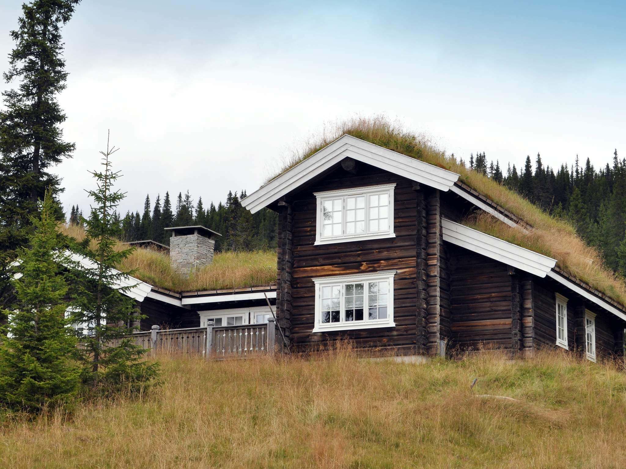 Eksteriør