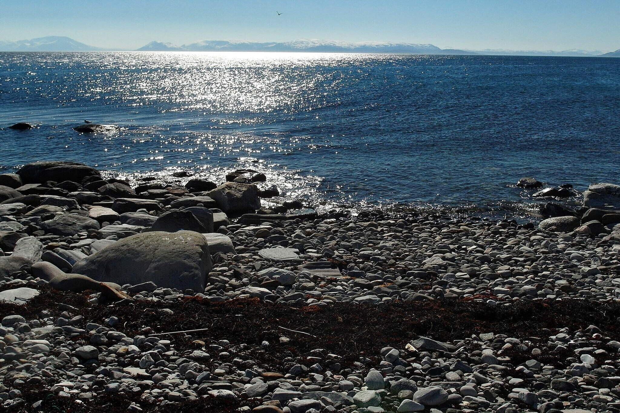 Strand