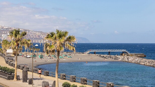Un paseo marítimo con palmeras, una playa y un muelle rocoso.