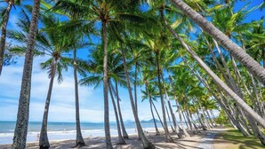 Uma praia com palmeiras e céu claro.