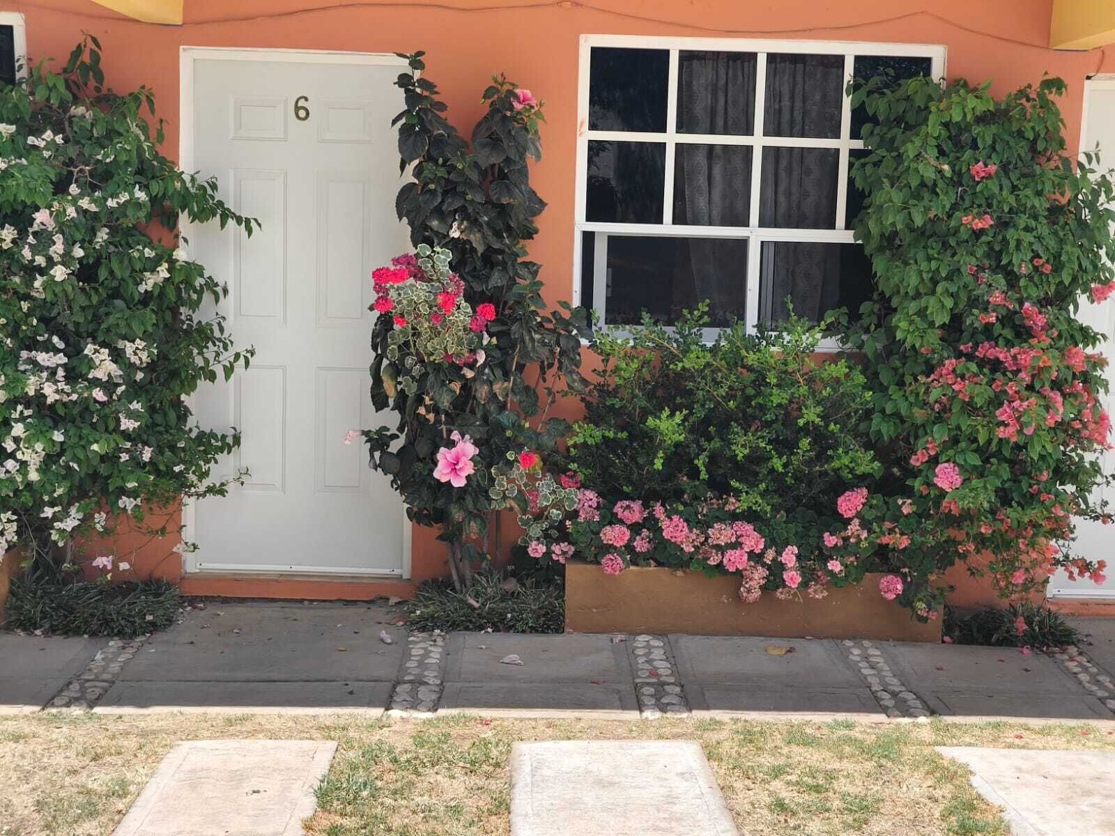Basic Room, Patio, Garden View | Exterior detail