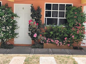 Basic Room, Patio, Garden View | Exterior detail