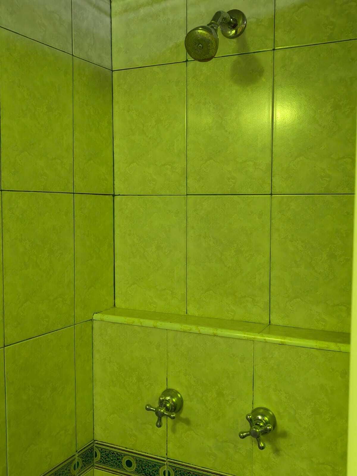 Een badkamer met groene tegels, een douchegedeelte en twee zichtbare kraanwerk.