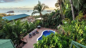 A pool surrounded by lush greenery, overlooking a coastal view with palm trees and a clear sky.
