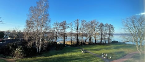En park med en gräsyta, träd, en stig och en vattenyta i bakgrunden.
