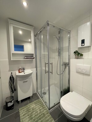 A modern bathroom with a glass-enclosed shower, a white sink, and a toilet. - Last apartment before Steinhuder Meer *lake view *Wi-Fi *kitchen *south-facing balcony (Wunstorf)