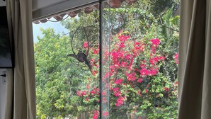A room with a large window, a bed with two pillows, and a view of a garden with pink flowers. - Cores da Pipa flats (Tibau do Sul)