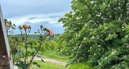 GĂźte idyllique au milieu des vergers, et des tournesols, sud-ouest de la France.