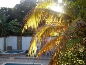 A pool area with a stone wall and palm trees. - Twin Room - 2 single beds (Jagua)