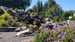A garden with a waterfall, rocks, and purple flowers. - La Ruelle Hébergement (Saint-Siméon-de-Bonaventure)