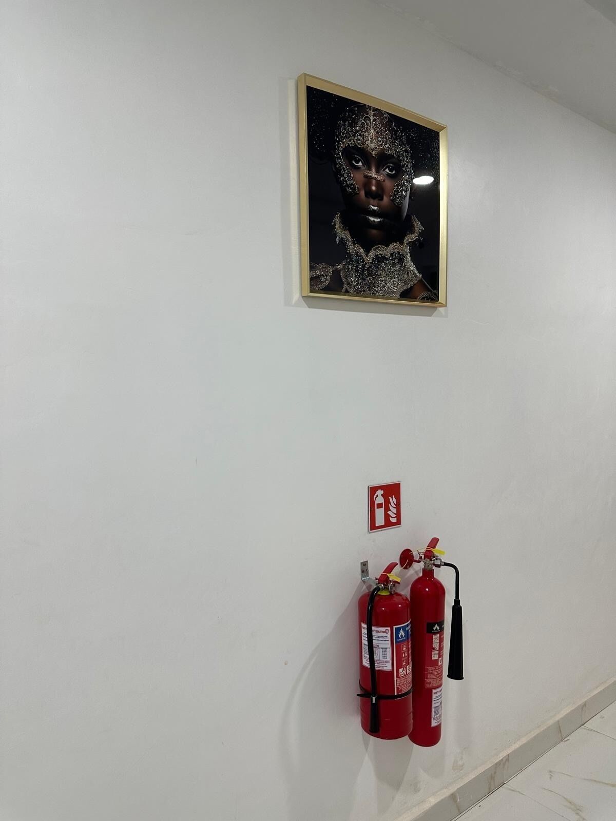 Un retrato enmarco en una pared, dos extintores rojos y un cartel de seguridad contra incendios.