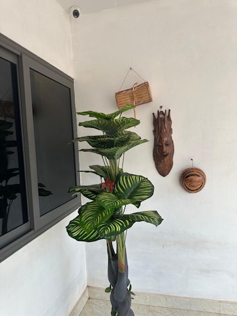 Exterior. Kimberlys Hotel