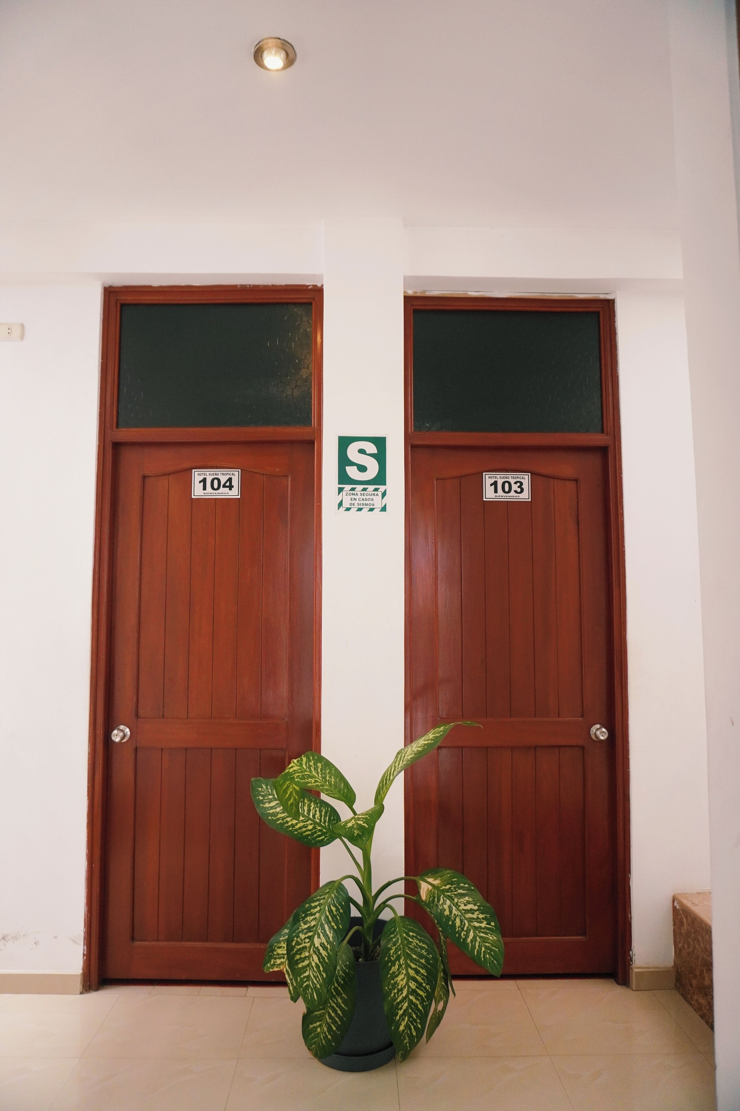 Photo - Hotel Sueño Tropical