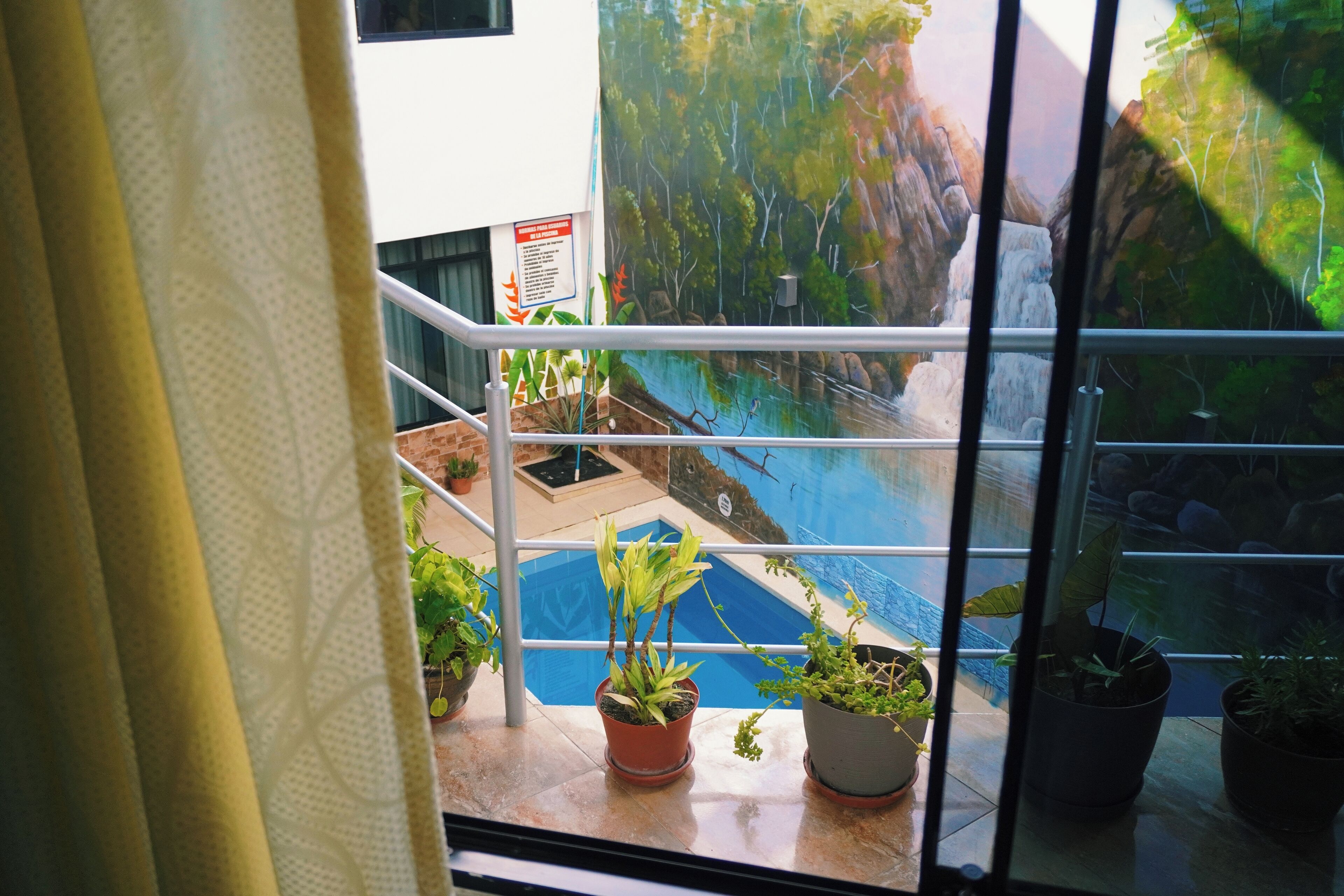 A view from a balcony with potted plants, a pool, and a mural of a natural landscape.