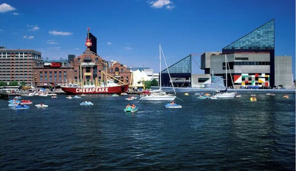 Marina - Charming Townhome in Vibrant Little Italy: Your Perfect Baltimore Getaway! (Baltimore)