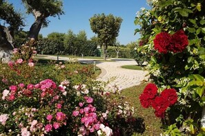 Overnattingsstedets uteområder