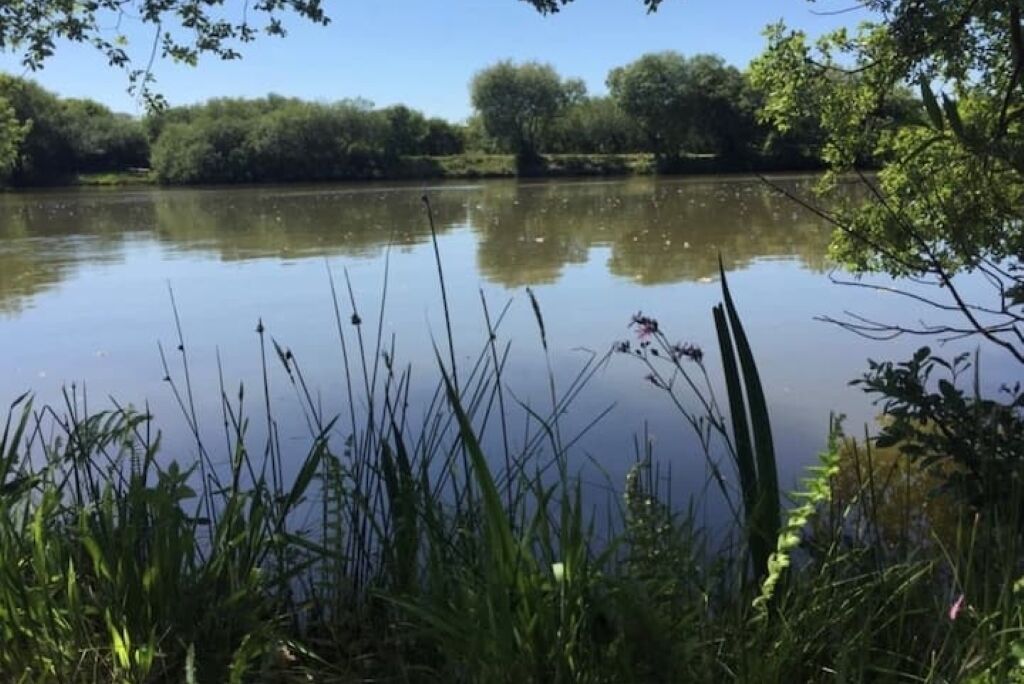 A calm lake surrounded by lush greenery and trees.