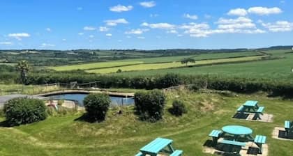 Chaffinch at Moorhead Country Holidays near Clovelly North Devon