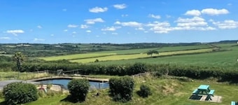 Chaffinch at Moorhead Country Holidays near Clovelly North Devon
