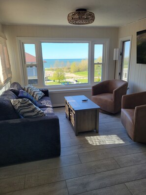 Smart TV, fireplace, books