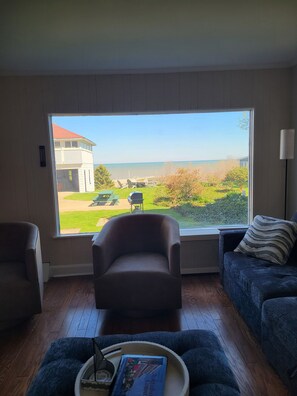 Smart-tv, pejs, bøger