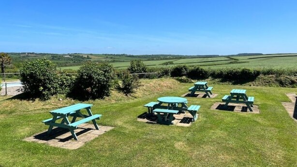 A grassy area with several picnic tables arranged in a row.