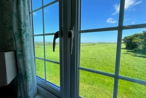 Greenfinch at Moorhead Country Holidays