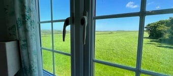 Greenfinch at Moorhead Country Holidays