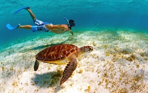 På stranden, hvit sand, solsenger og parasoller
