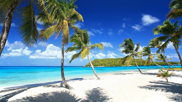 A beach with white sand and palm trees. - Windward Mayreau Resort (Mayreau Island)