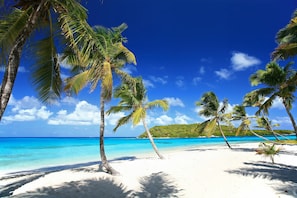 A beach with white sand and palm trees. - Windward Mayreau Resort (Mayreau Island)