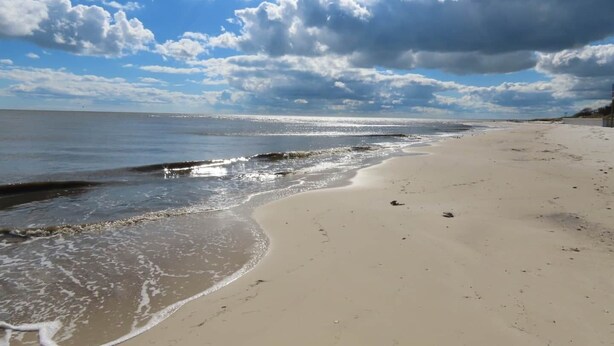 A beach with a wide sandy shore and gentle waves. - For the Birds- relax on the lagoon! (Alligator Point)