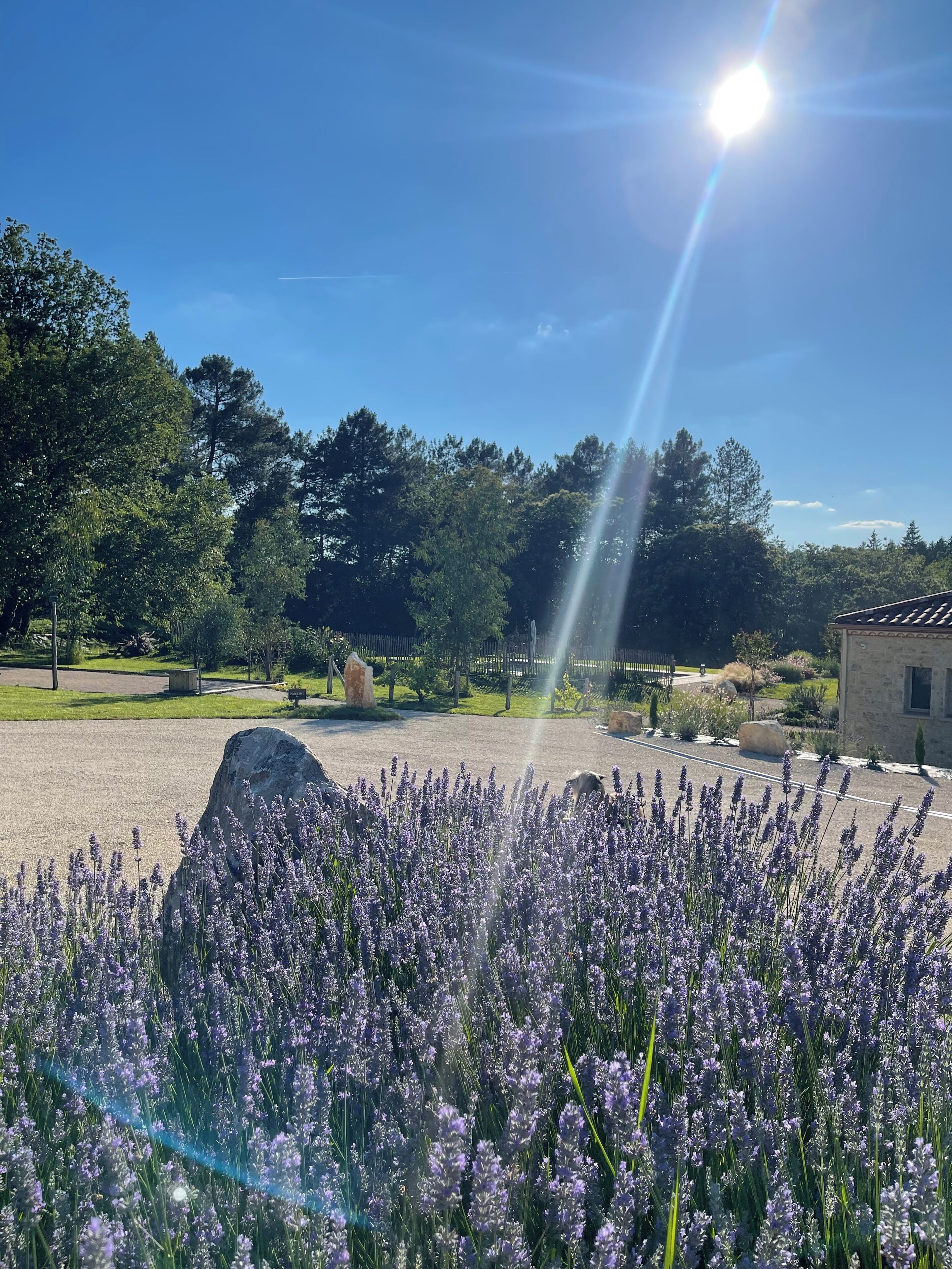 Overnatningsstedets område