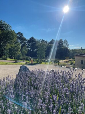 Overnattingsstedets uteområder