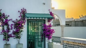 Un edificio blanco con una puerta verde y macetas con flores moradas.
