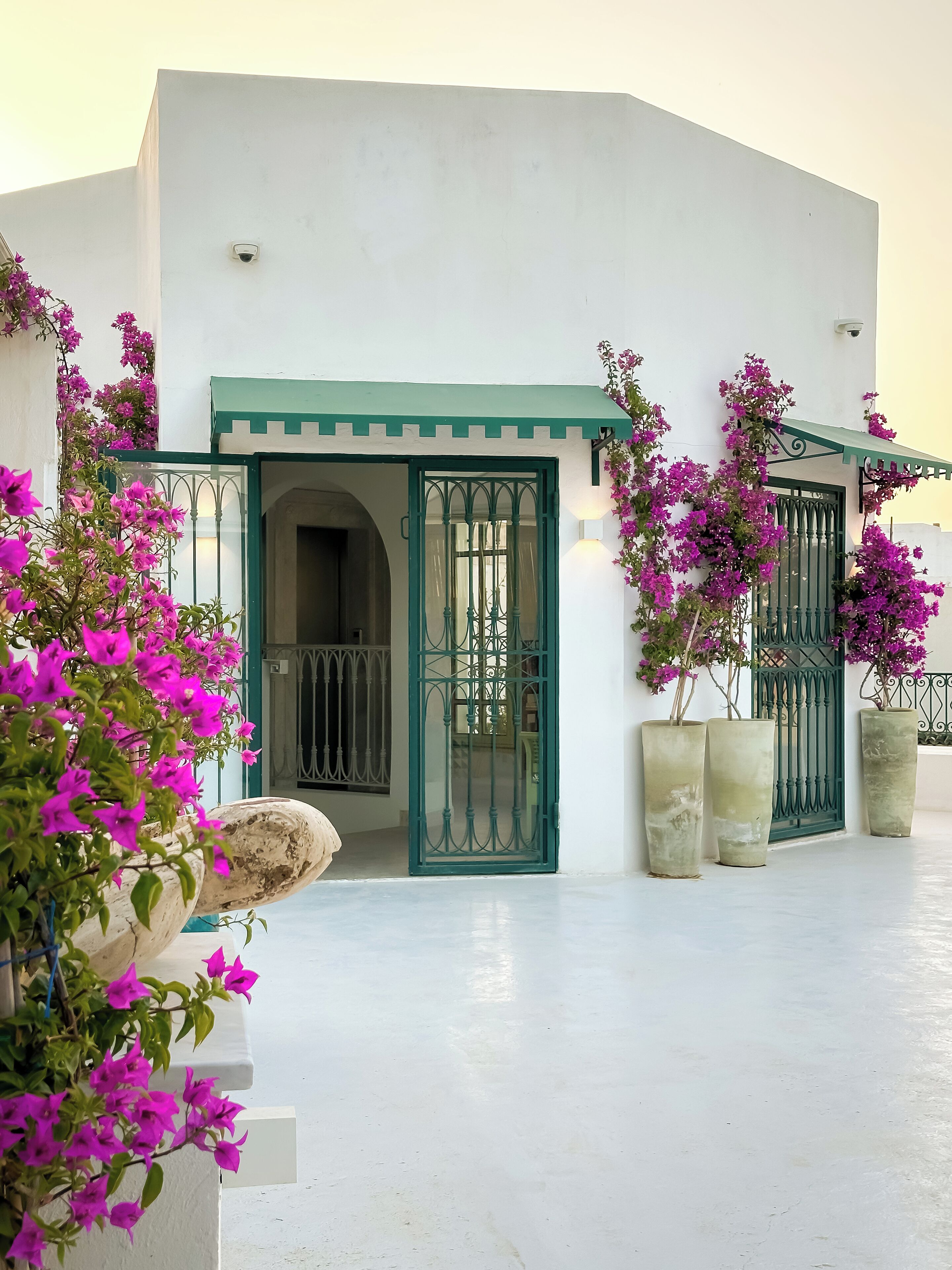 A white building with a green door and window, surrounded by large potted plants and pink flowers.