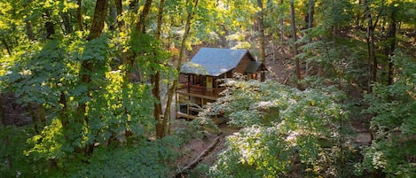 A cabin surrounded by dense forest.