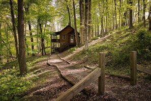 Eine Holzhütte im Wald mit einer Holzdiele und einem Feldweg dorthin.