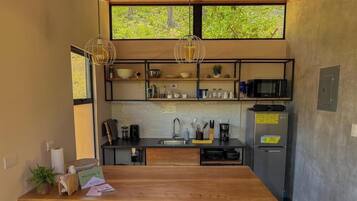 Cafetera o tetera, frigorífico, microondas y placa de cocina