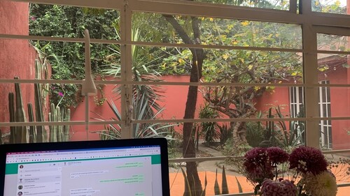 Beautiful house with garden and two bedrooms in Roma Norte, CDMX