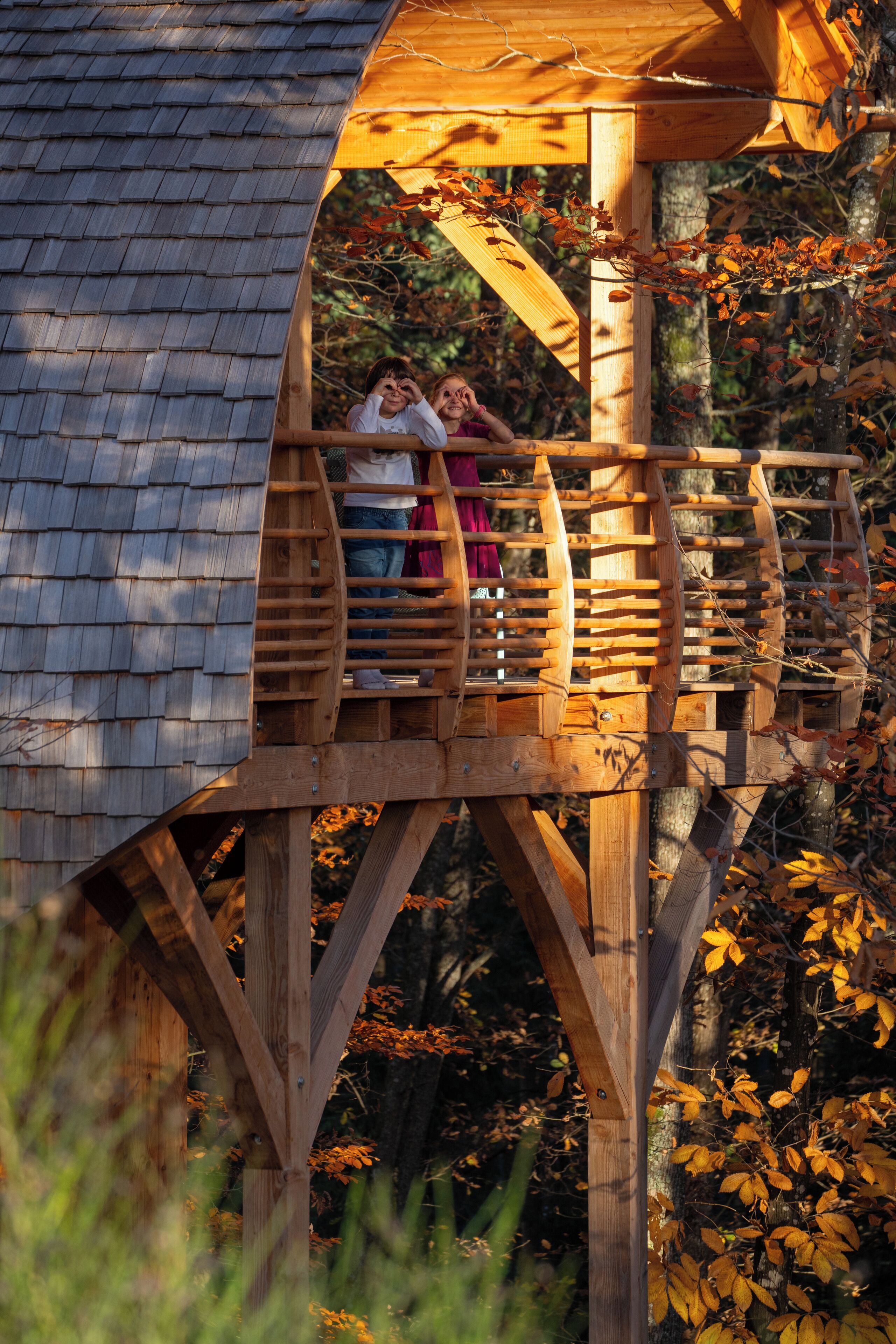 A wooden deck with a ladder leading to a platform, surrounded by autumn foliage.